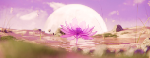 Lotus DEX thumbnail